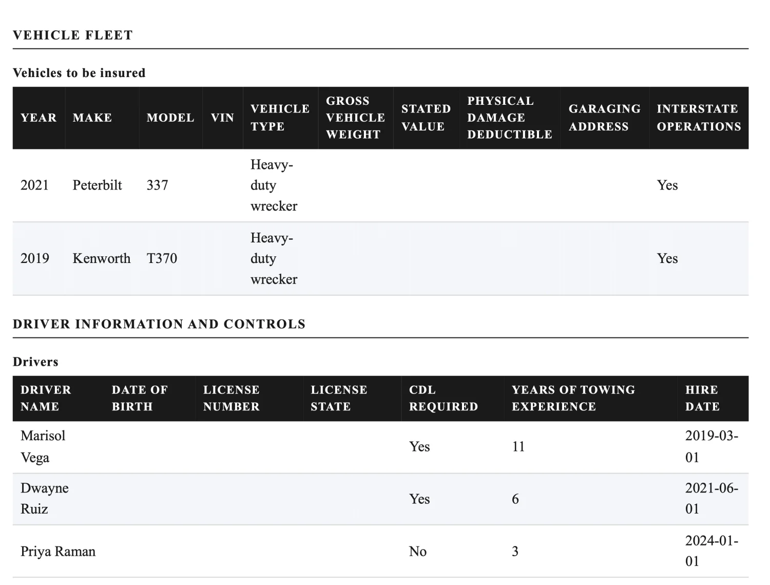 Vehicle and driver schedules on the finished submission, each a table with a row per unit and per driver